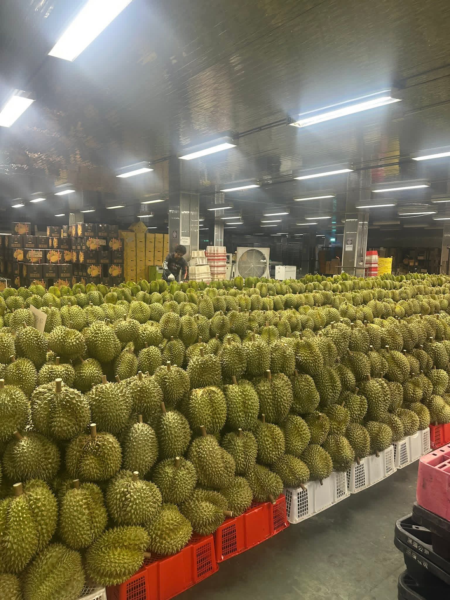 About Thai Good Foods