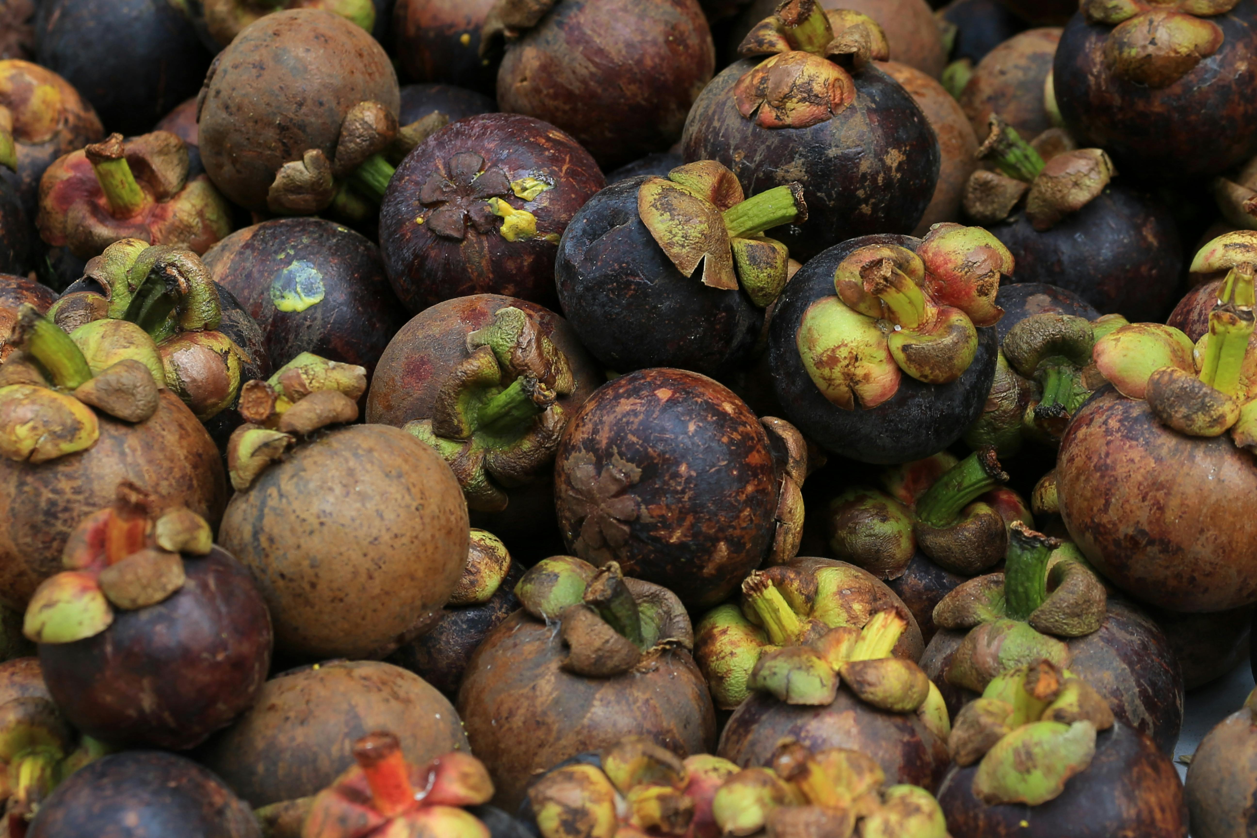Mangosteen